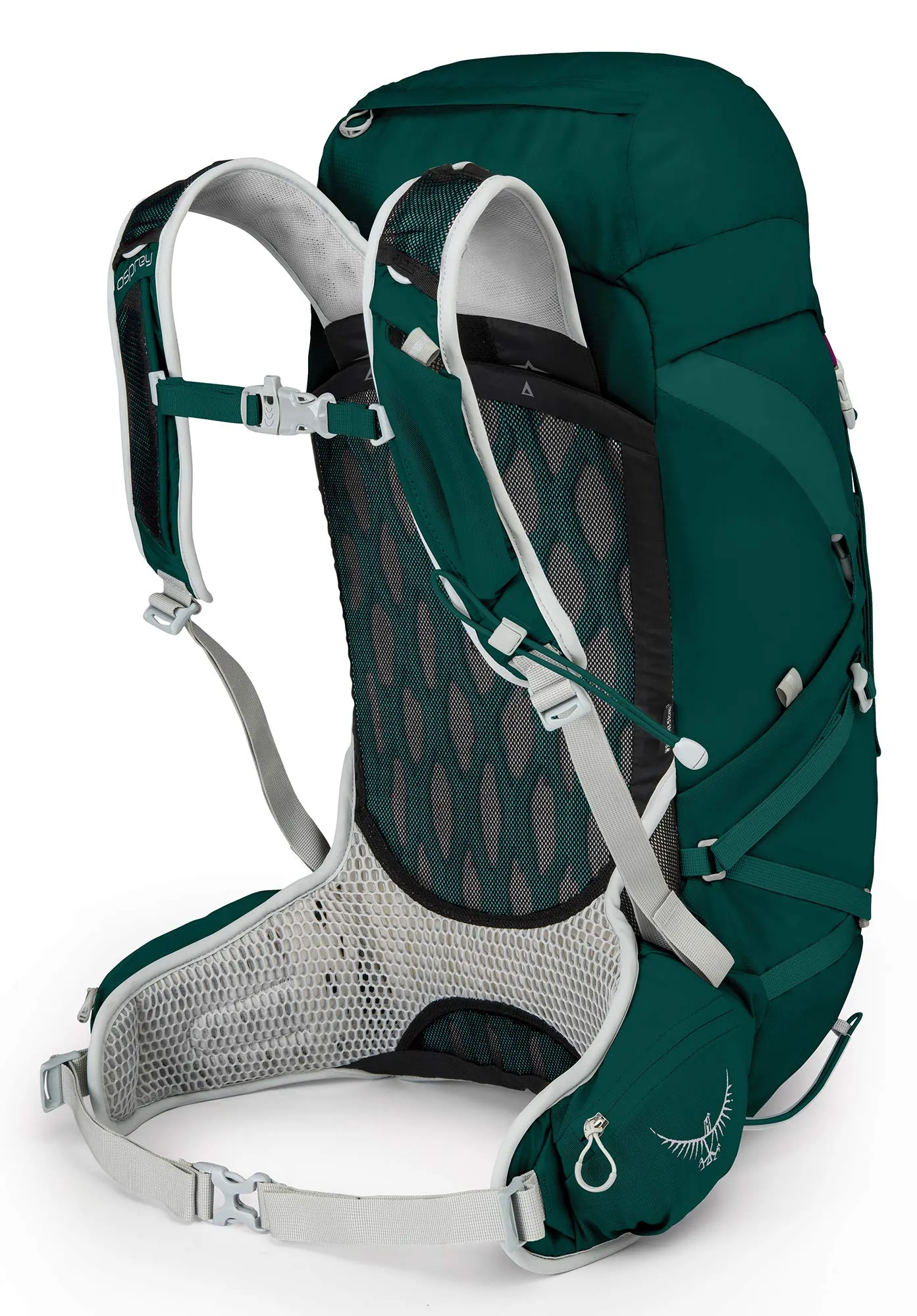 Osprey Packs Tempest 30 Women's Hiking Backpack, Chloroblast Green, WX/Small