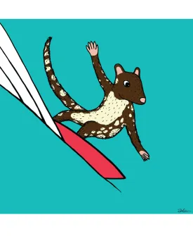 Surfing Quoll - Print/ Framed Print