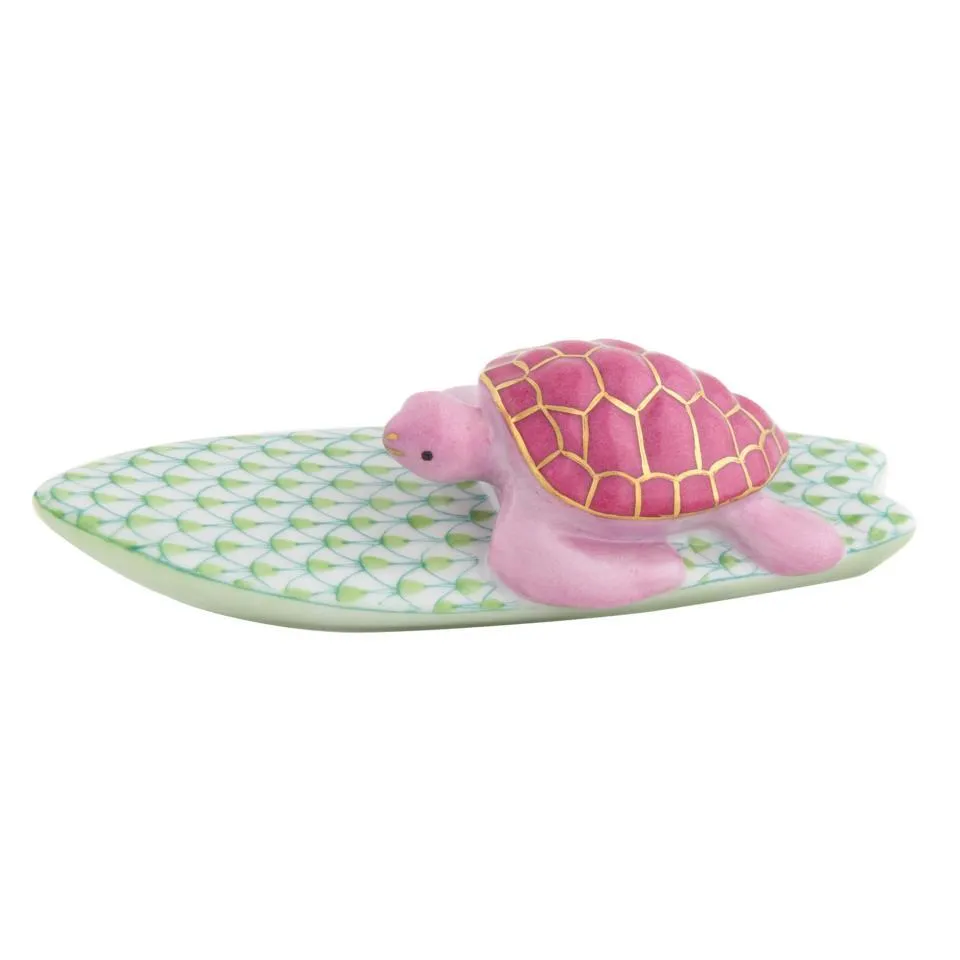 Surfing Turtle